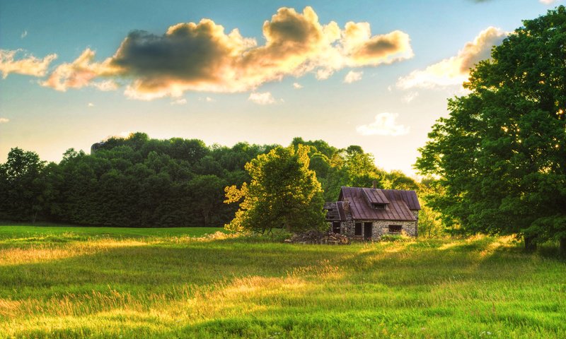 Обои небо, трава, облака, лес, лето, поляна, домик, the sky, grass, clouds, forest, summer, glade, house разрешение 2560x1600 Загрузить