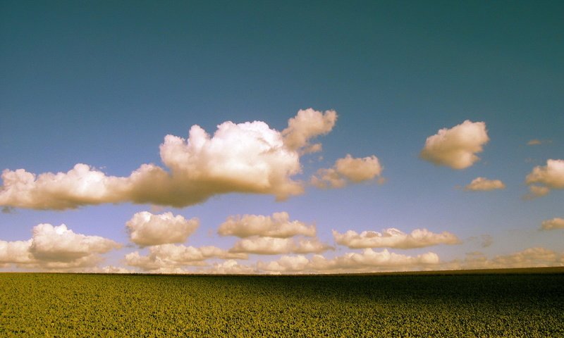 Обои небо, облака, поле, горизонт, the sky, clouds, field, horizon разрешение 1920x1440 Загрузить