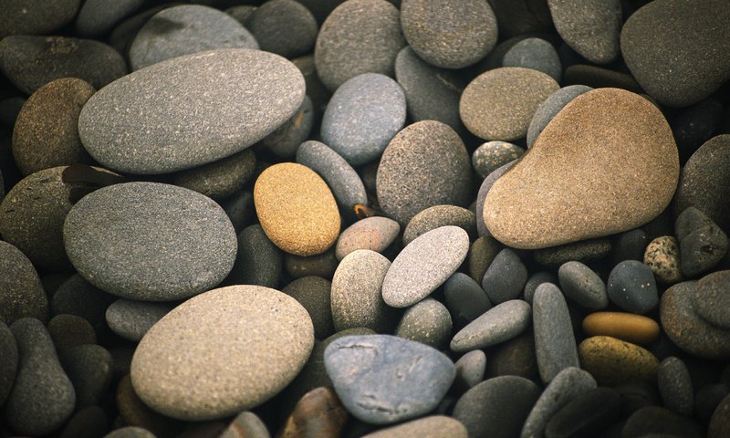 Обои природа, камни, галька, макро, камешки, nature, stones, pebbles, macro разрешение 2560x1600 Загрузить