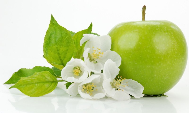 Обои цветы, листочки, яблоко, flowers, leaves, apple разрешение 1920x1200 Загрузить