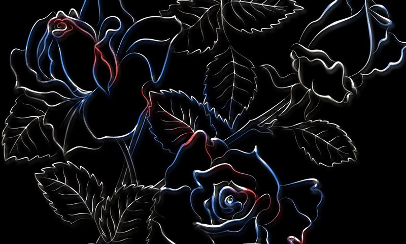Обои рисунок, розы, черный фон, figure, roses, black background разрешение 2560x1600 Загрузить