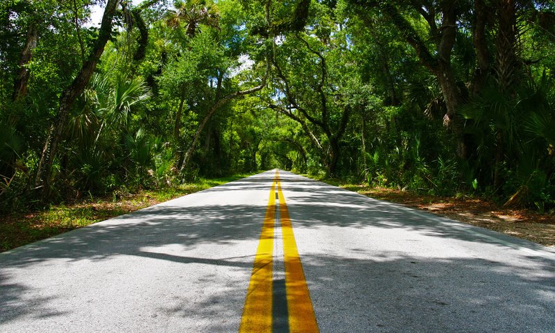 Обои дорога, деревья, линии, разметка, асфальт, road, trees, line, markup, asphalt разрешение 1920x1200 Загрузить