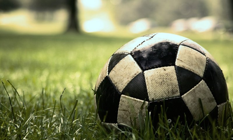 Обои трава, зеленая, мяч, интересно, футбольный, grass, green, the ball, interesting, football разрешение 2560x1600 Загрузить