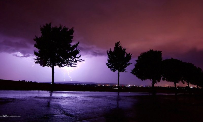 Обои небо, ночь, деревья, молния, the sky, night, trees, lightning разрешение 1920x1080 Загрузить