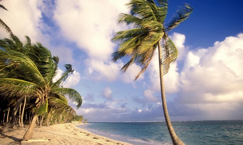 Обои небо, облака, вода, пейзаж, море, песок, пляж, пальмы, the sky, clouds, water, landscape, sea, sand, beach, palm trees разрешение 1920x1080 Загрузить