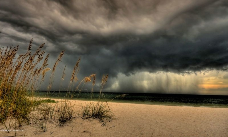 Обои небо, трава, берег, тучи, море, песок, пляж, колоски, the sky, grass, shore, clouds, sea, sand, beach, spikelets разрешение 1920x1080 Загрузить