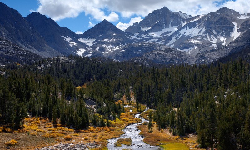 Обои деревья, река, горы, природа, лес, пейзаж, trees, river, mountains, nature, forest, landscape разрешение 1920x1200 Загрузить