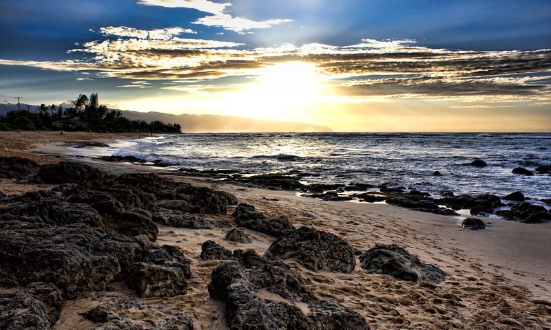 Обои облака, деревья, камни, закат, море, песок, следы, clouds, trees, stones, sunset, sea, sand, traces разрешение 2560x1600 Загрузить