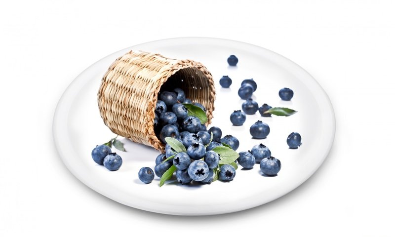 Обои ягоды, белый фон, черника, тарелка, туесок, berries, white background, blueberries, plate, tuesok разрешение 1920x1200 Загрузить