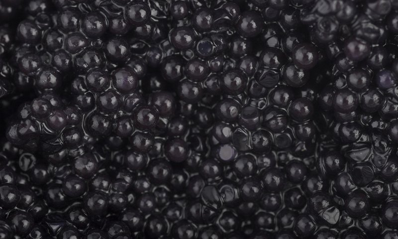 Обои черная, икра, морепродукты, зернистая, черная икра, black, caviar, seafood, granular, black caviar разрешение 1920x1279 Загрузить