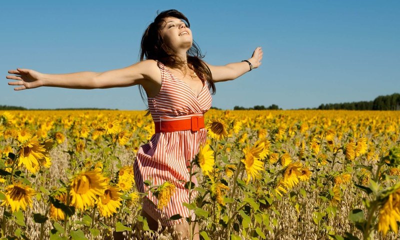 Обои девушка, поле, радость, подсолнухи, girl, field, joy, sunflowers разрешение 1920x1200 Загрузить