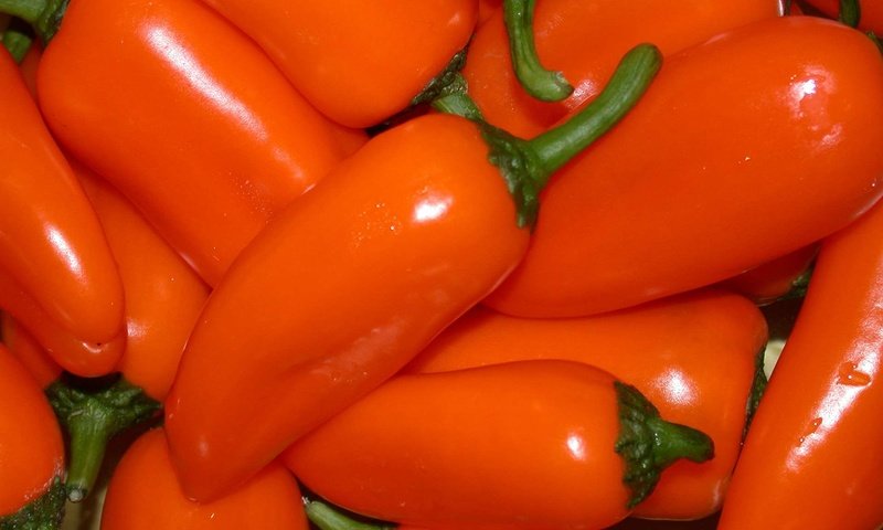 Обои овощи, перец, паприка, vegetables, pepper, paprika разрешение 1920x1200 Загрузить