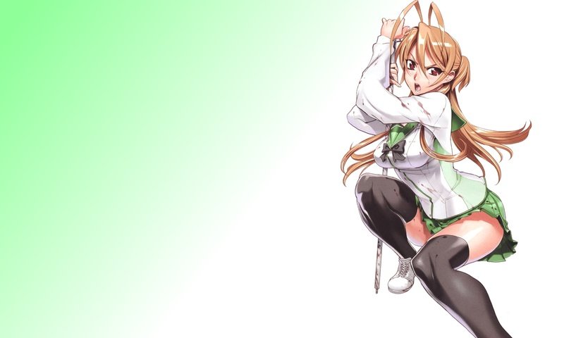 Обои highschool of the dead, miyamoto rei разрешение 1920x1200 Загрузить