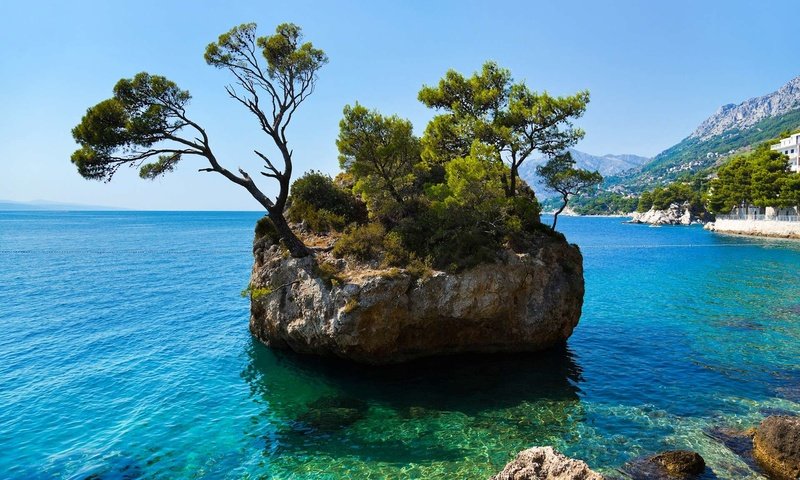 Обои деревья, море, остров, хорватия, trees, sea, island, croatia разрешение 1920x1200 Загрузить