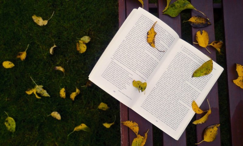 Обои трава, листья, осень, скамейка, листопад, книга, grass, leaves, autumn, bench, falling leaves, book разрешение 1920x1200 Загрузить