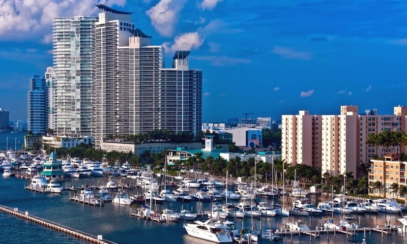 Обои яхты, порт, майями, yachts, port, miami разрешение 1920x1080 Загрузить