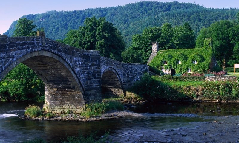 Обои деревья, река, горы, лето, мост, до, trees, river, mountains, summer, bridge, to разрешение 1920x1200 Загрузить