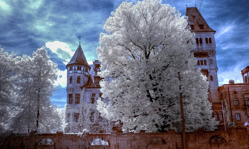 Обои зима, трансильвания, замок дракулы, winter, transylvania, dracula's castle разрешение 1920x1200 Загрузить