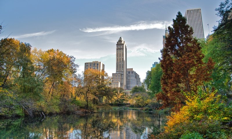 Обои небоскребы, нью-йорк, центральный парк, skyscrapers, new york, central park разрешение 4226x2798 Загрузить