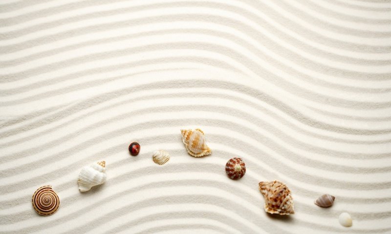 Обои линии, волны, песок, ракушки, line, wave, sand, shell разрешение 2180x1433 Загрузить