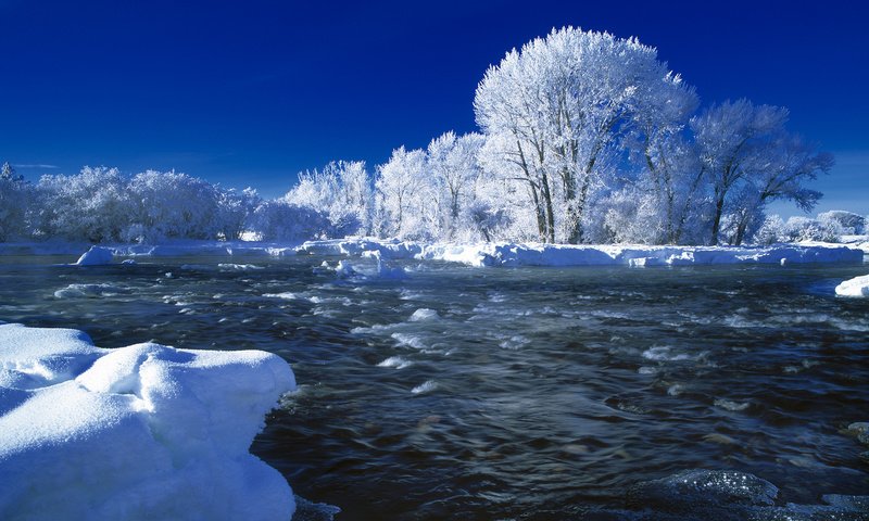 Обои деревья, река, снег, зима, trees, river, snow, winter разрешение 1920x1080 Загрузить