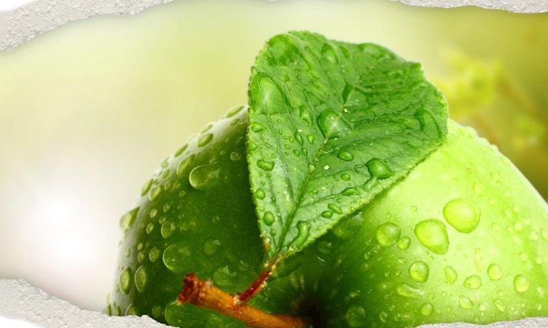 Обои вода, макро, капли, фрукты, яблоко, листик, зеленое, water, macro, drops, fruit, apple, leaf, green разрешение 2560x1600 Загрузить