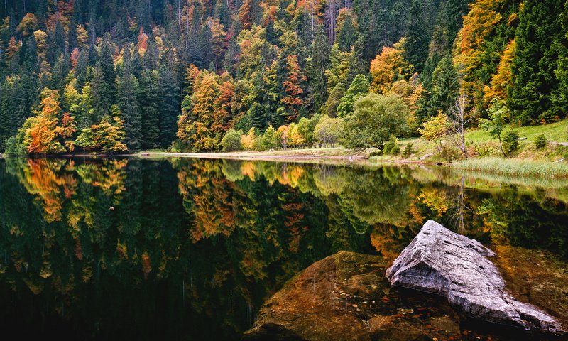 Обои деревья, озеро, лес, осень, камень, trees, lake, forest, autumn, stone разрешение 1920x1080 Загрузить