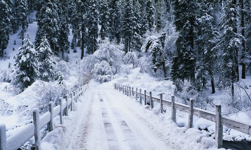 Обои дорога, мостик, лес, зима, речка, зимний лес, road, the bridge, forest, winter, river, winter forest разрешение 1920x1080 Загрузить