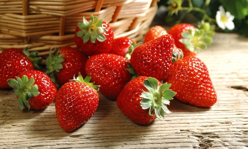 Обои ягода, клубника, корзинка, berry, strawberry, basket разрешение 1920x1080 Загрузить