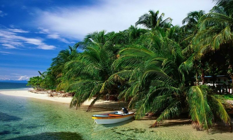 Обои пляж, пальмы, тропики, beach, palm trees, tropics разрешение 1920x1080 Загрузить