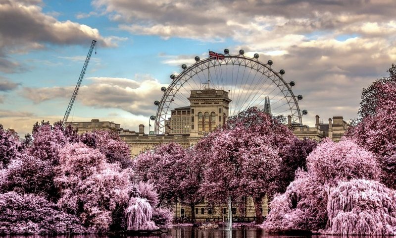 Обои цветы, облака, деревья, колесо обозрения, весна, красиво, flowers, clouds, trees, ferris wheel, spring, beautiful разрешение 2000x1333 Загрузить