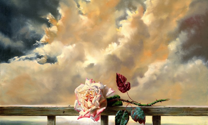 Обои cvetok, roza, svezhest, zhivopis, обьлака, oblaka разрешение 2888x2310 Загрузить