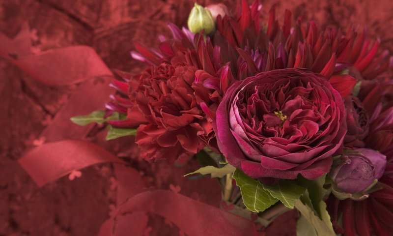 Обои cvety, fioletovyj, listya, buket, l, bordovyj, malinovyj разрешение 2560x1920 Загрузить