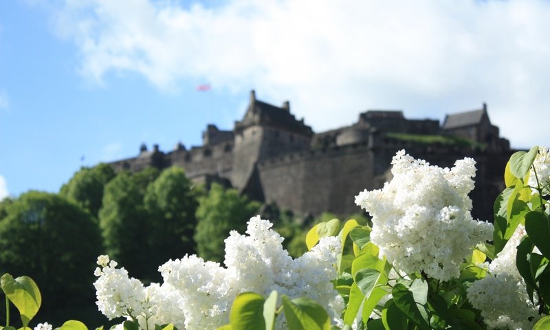 Обои цветы, замок, весна, белая, сирень, боке, сирена, cvety, zamok, flowers, castle, spring, white, lilac, bokeh, siren разрешение 3000x2000 Загрузить