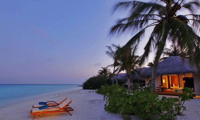 Обои вечер, песок, пляж, пальмы, бунгало, тропики, мальдивы, the evening, sand, beach, palm trees, bungalow, tropics, the maldives разрешение 1920x1080 Загрузить