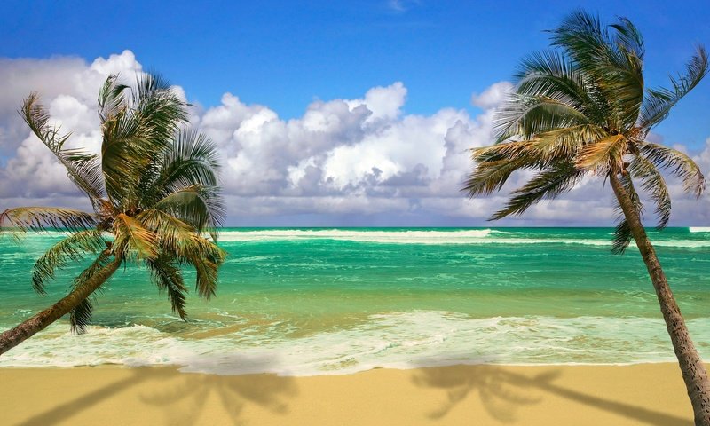 Обои волны, песок, пляж, пальмы, тропики, wave, sand, beach, palm trees, tropics разрешение 1920x1080 Загрузить