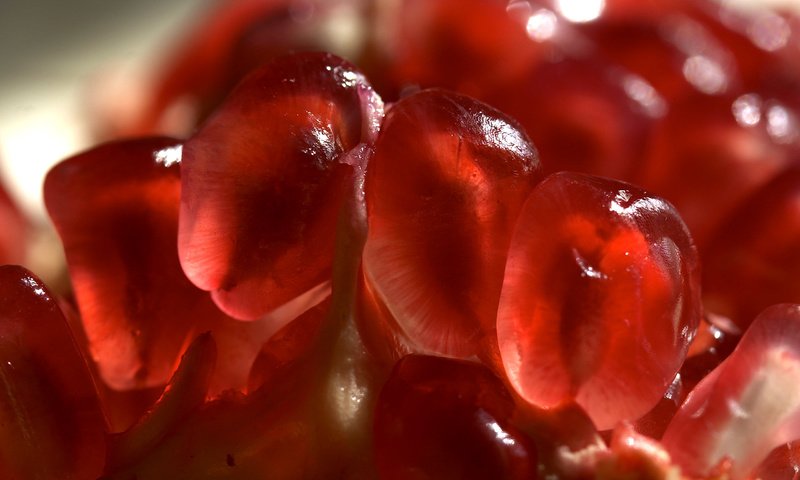 Обои макро, зерна, фрукт, гранат, macro, grain, fruit, garnet разрешение 2560x1600 Загрузить