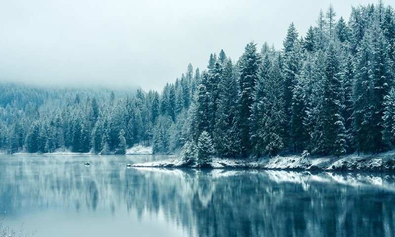 Обои деревья, озеро, снег, лес, зима, отражение, туман, trees, lake, snow, forest, winter, reflection, fog разрешение 1920x1200 Загрузить