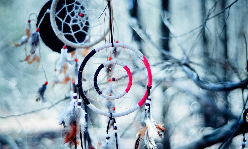 Обои ветки, перья, амулет, боке, талисман, ловец снов, branches, feathers, amulet, bokeh, talisman, dreamcatcher разрешение 2560x1600 Загрузить