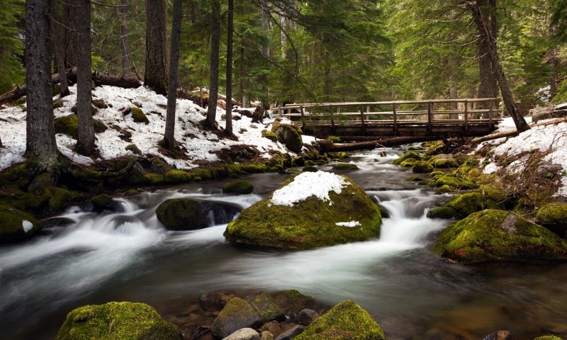 Обои деревья, сша, река, орегон, снег, природа, камни, лес, зима, мост, trees, usa, river, oregon, snow, nature, stones, forest, winter, bridge разрешение 2560x1600 Загрузить