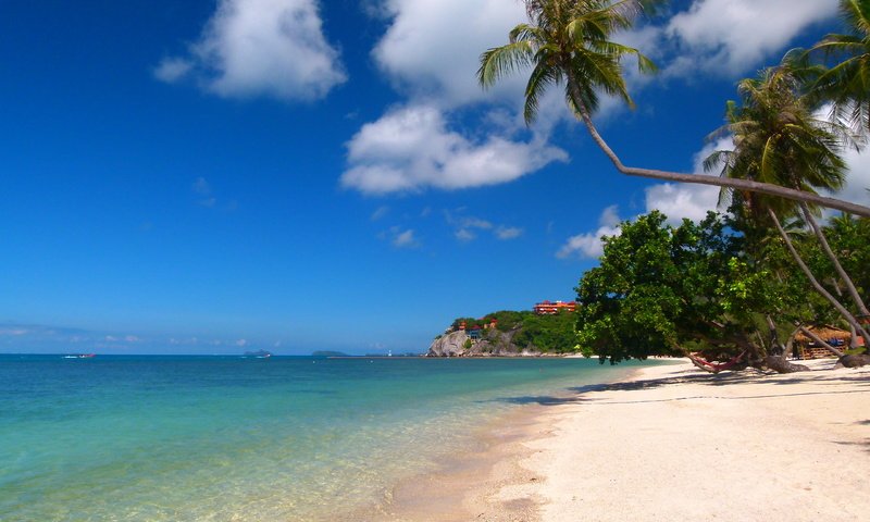 Обои пляж, пальмы, тропики, beach, palm trees, tropics разрешение 4320x3240 Загрузить