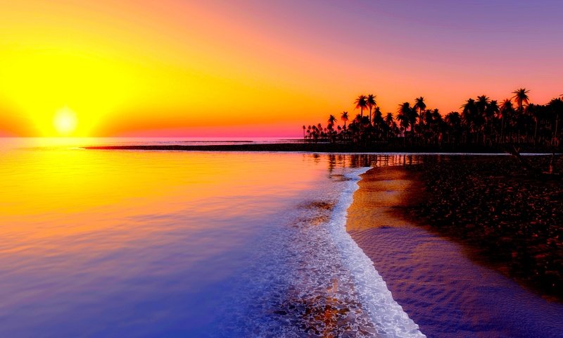 Обои закат, пляж, пальмы, тропики, sunset, beach, palm trees, tropics разрешение 1920x1200 Загрузить