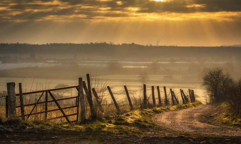 Обои дорога, природа, закат, забор, road, nature, sunset, the fence разрешение 1920x1200 Загрузить