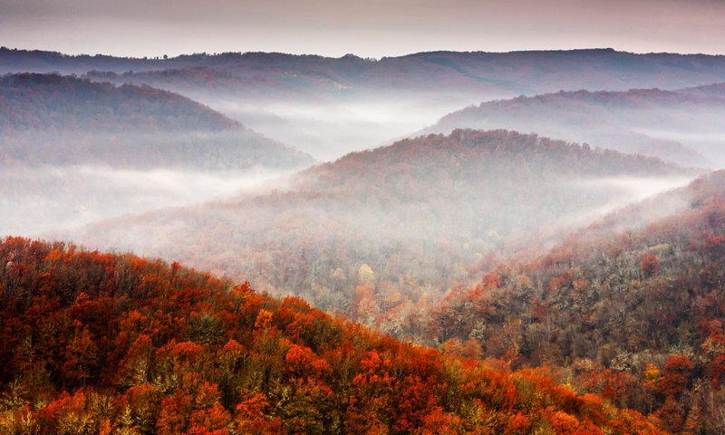 Обои небо, горы, холмы, природа, лес, туман, осень, the sky, mountains, hills, nature, forest, fog, autumn разрешение 1920x1280 Загрузить