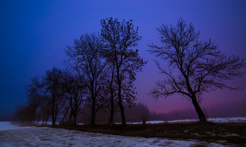 Обои ночь, деревья, снег, зима, пейзаж, поле, night, trees, snow, winter, landscape, field разрешение 2048x1149 Загрузить