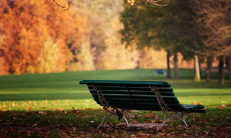 Обои природа, листья, парк, день, осень, скамейка, лавочка, солнышко, nature, leaves, park, day, autumn, bench, shop, the sun разрешение 1944x1295 Загрузить