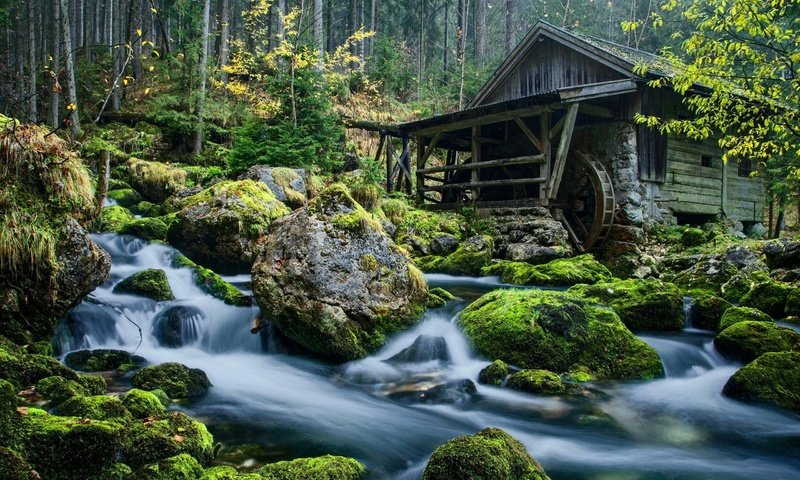 Обои деревья, мельница, вода, дом, река, горная, камни, изба, лес, водяная мельница, пейзаж, валугы, ручей, речушка, пороги, trees, mill, water, house, river, mountain, stones, hut, forest, water mill, landscape, walugi, stream, thresholds разрешение 2560x1600 Загрузить