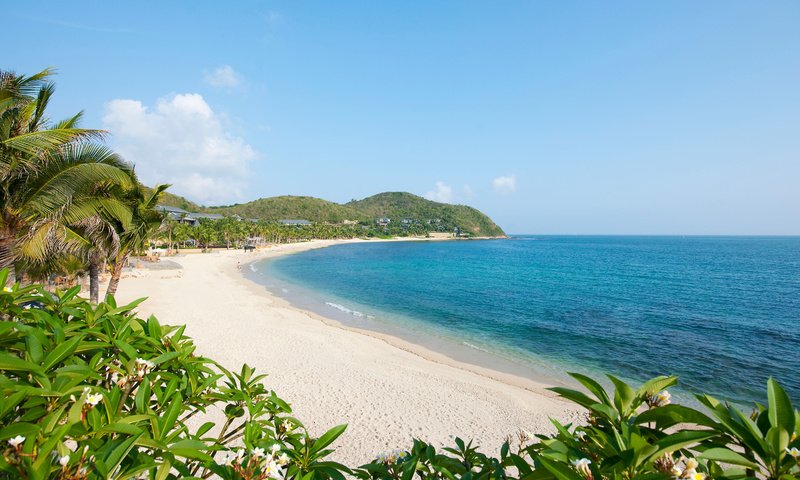 Обои песок, пляж, пальмы, тропики, sand, beach, palm trees, tropics разрешение 3024x2016 Загрузить