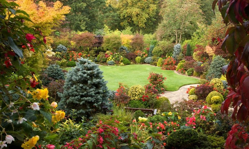 Обои цветы, скамейка, релакс, полянка, японский садик, flowers, bench, relax, clearing, japanese garden разрешение 2500x1667 Загрузить