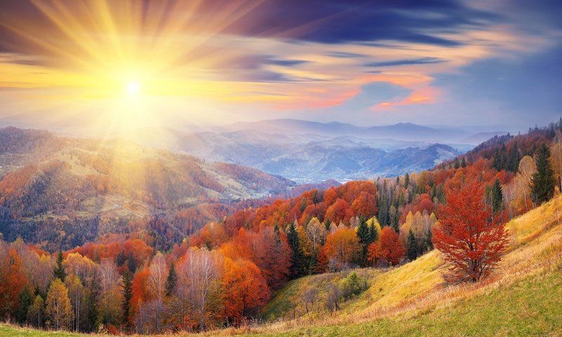 Обои горы, солнце, лес, осень, mountains, the sun, forest, autumn разрешение 1920x1080 Загрузить